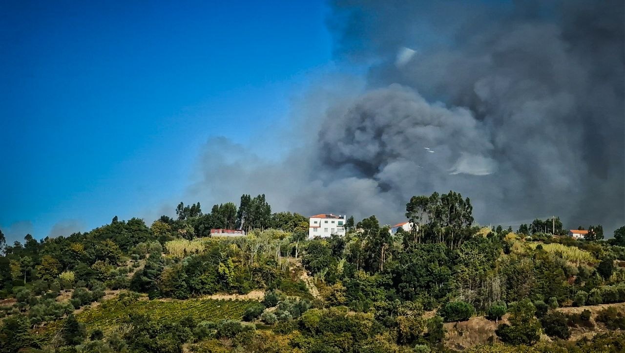 The 50-Metre Fire Clearing Rule in Portugal (Renters Too) 2026