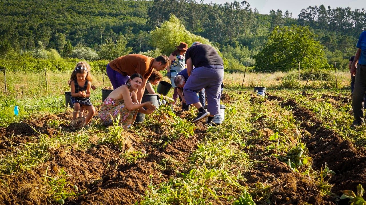 Moving to Portugal With Young Children: The Honest Version 2026